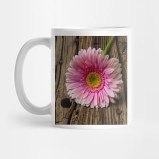 Pink Daisy On Old Boards Mug